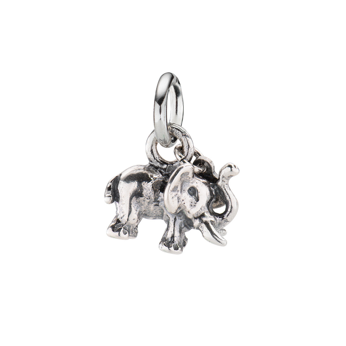 Charm Amen unisex charms - animali CH-AN03- Eldorado Jewels