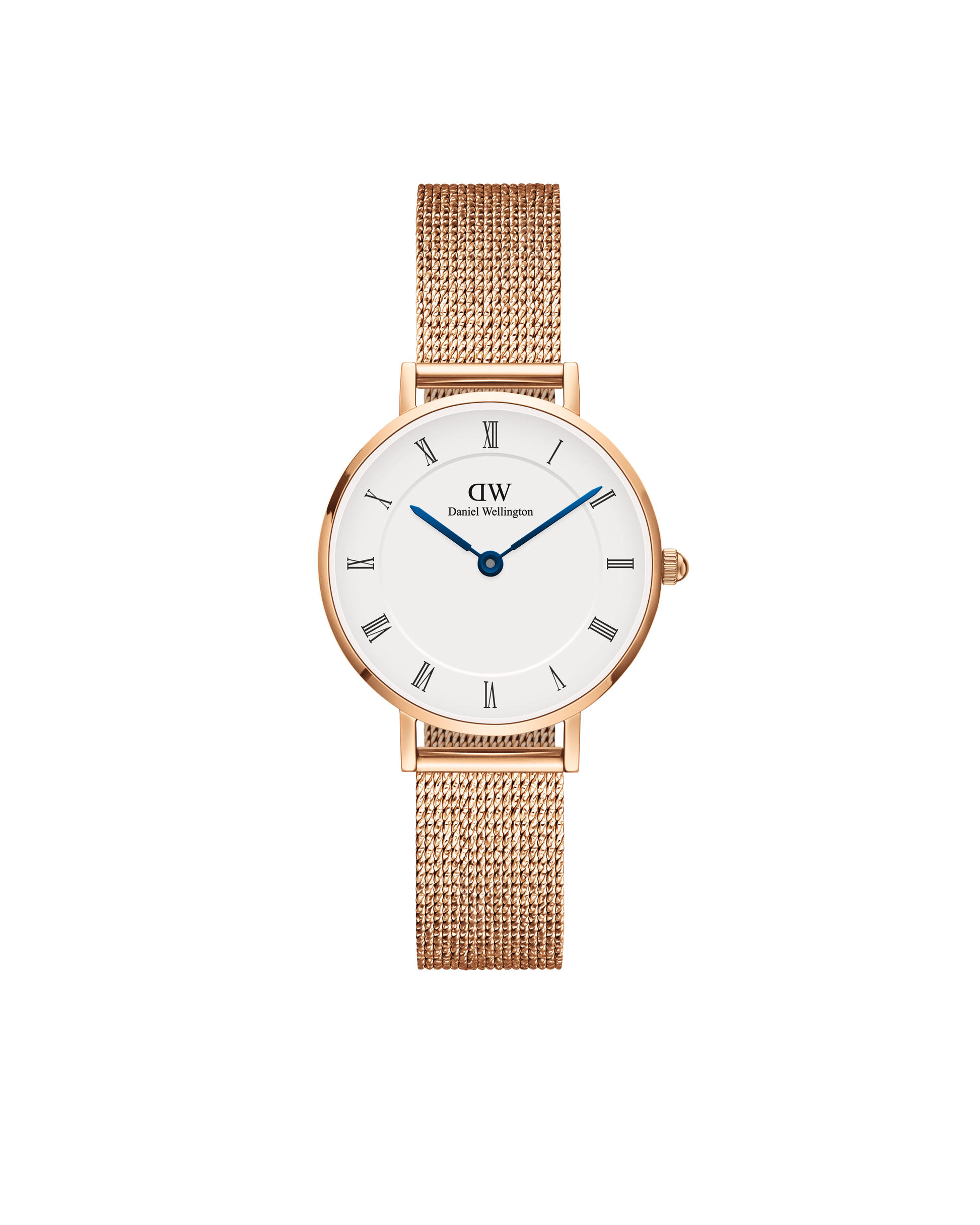 Orologio Daniel Wellington Petite Roman Numerals Melrose