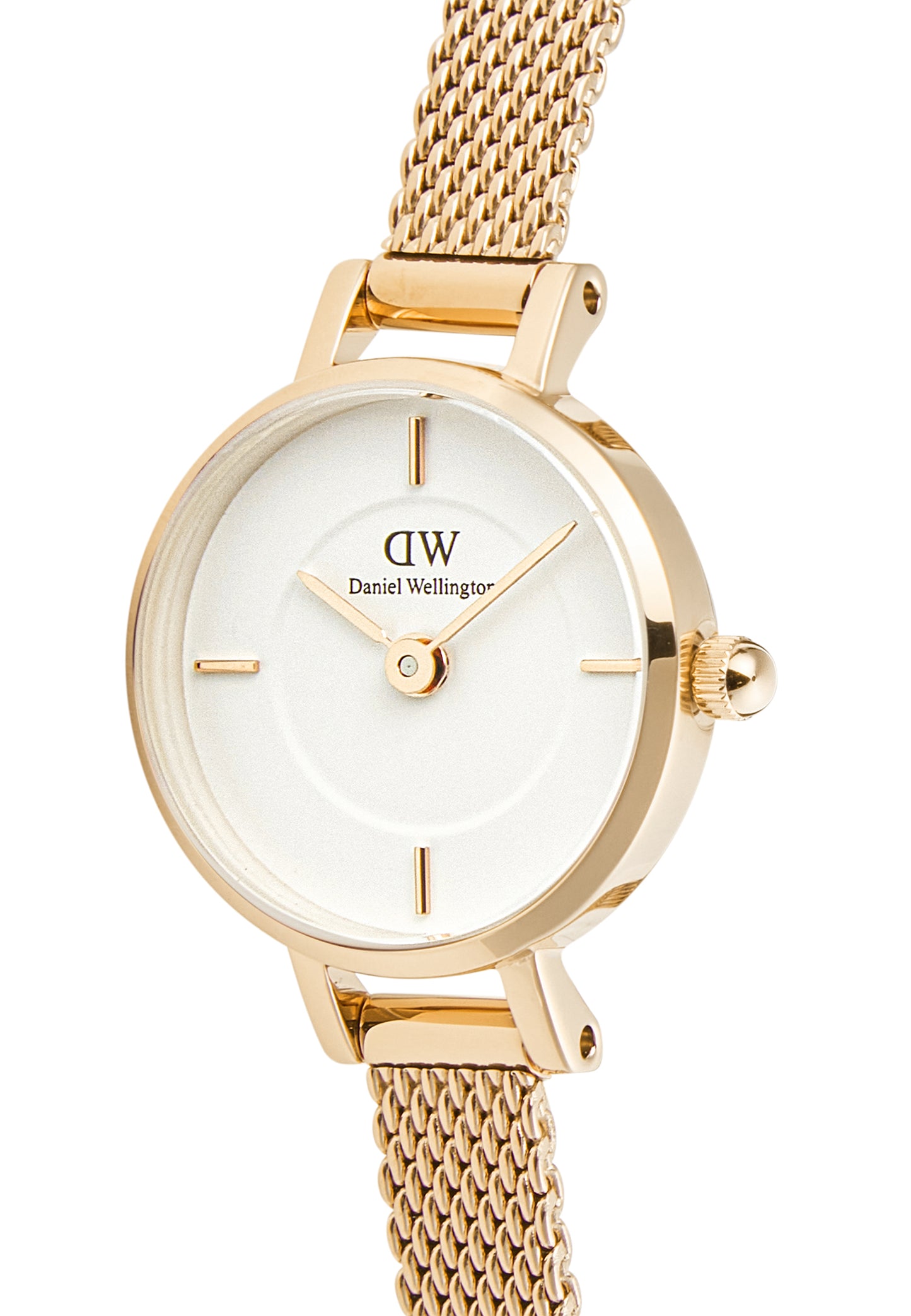 Orologio Daniel Wellington Petite Mini Evergold