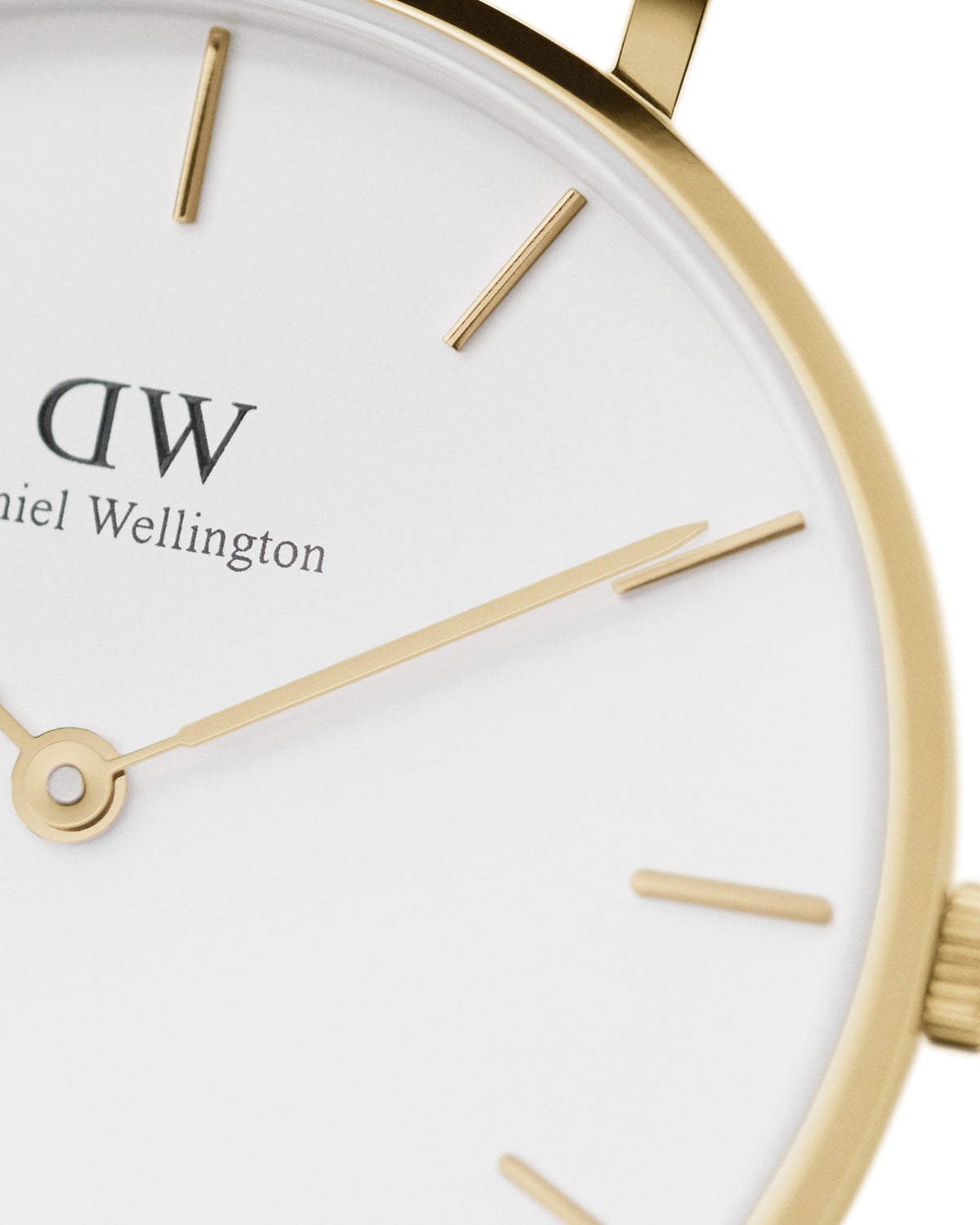 Orologio donna Daniel Wellington Petite Evergold