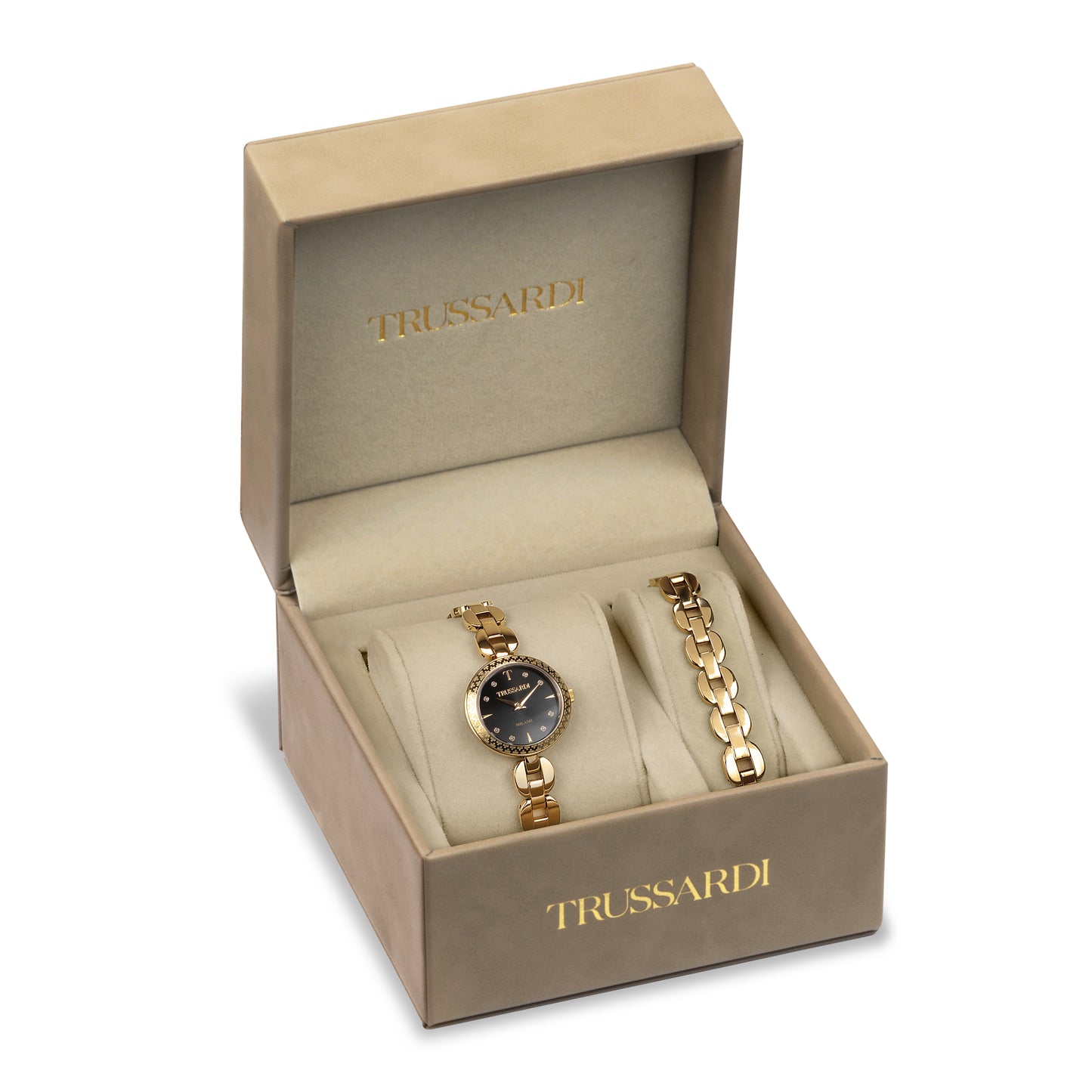 MONTRE TRUSSARDI T-CHAIN R2453137506